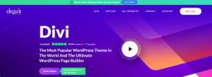 divi the best landig page builder wordpress plugin