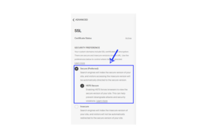 ssl certificate in squarespace seo review