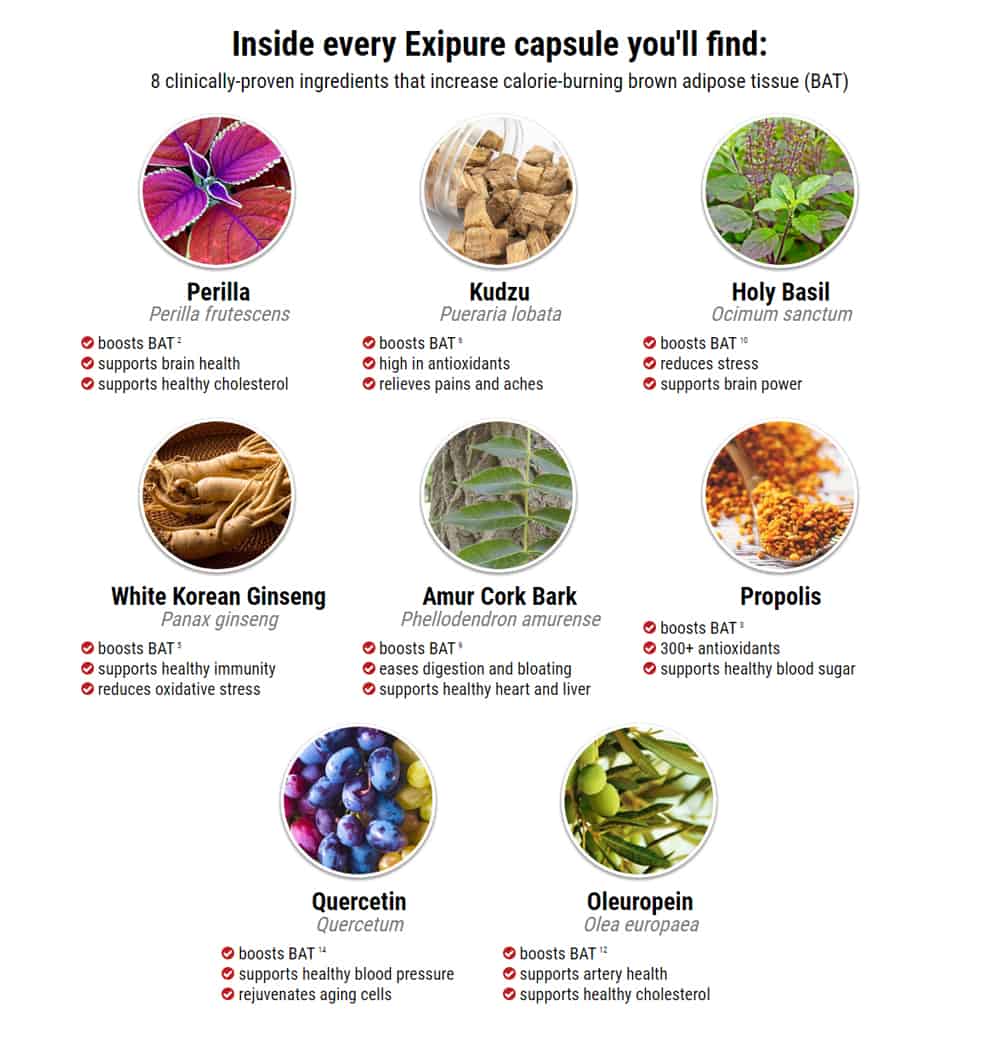 A collage image of seperate ingredients of Exipure