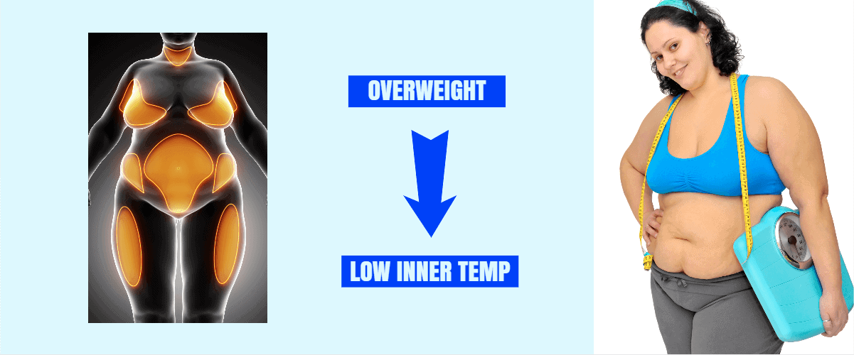 lower inner temperature is the root cause of obesity image